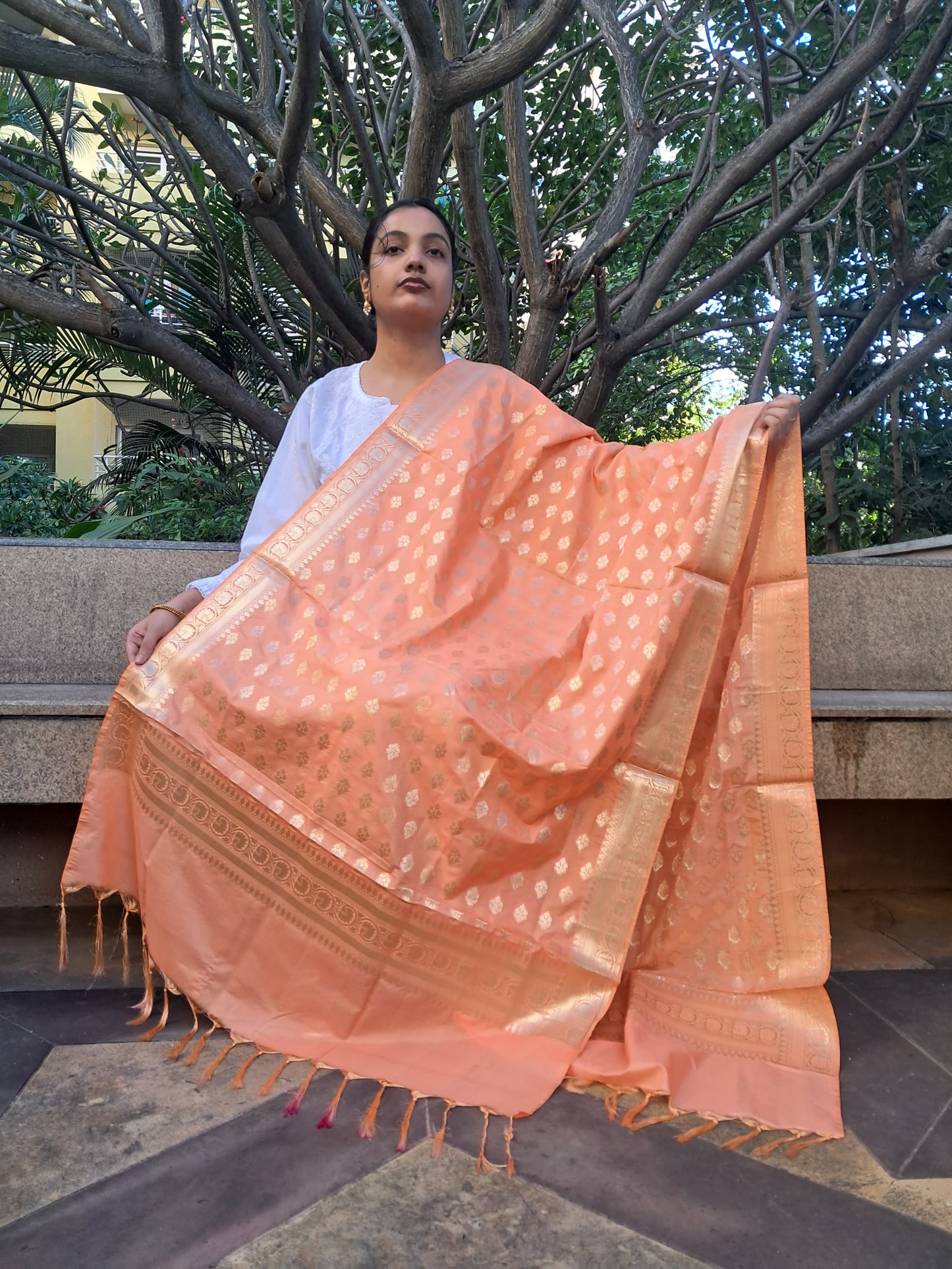 Light Orange Mixed Katan Silk Banarasi Dupatta