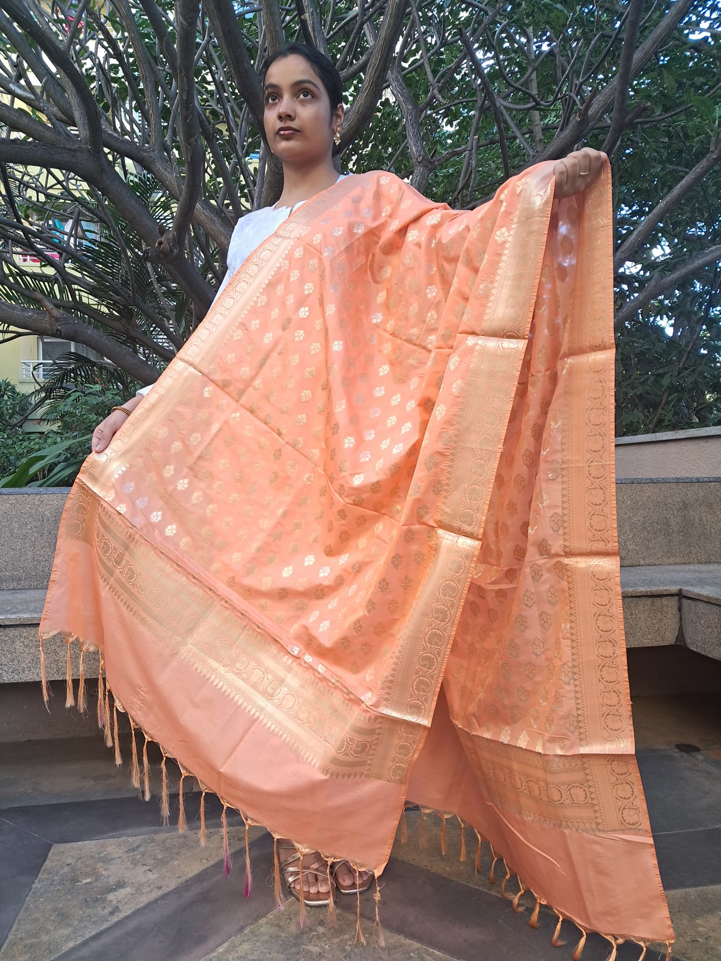 Light Orange Mixed Katan Silk Banarasi Dupatta