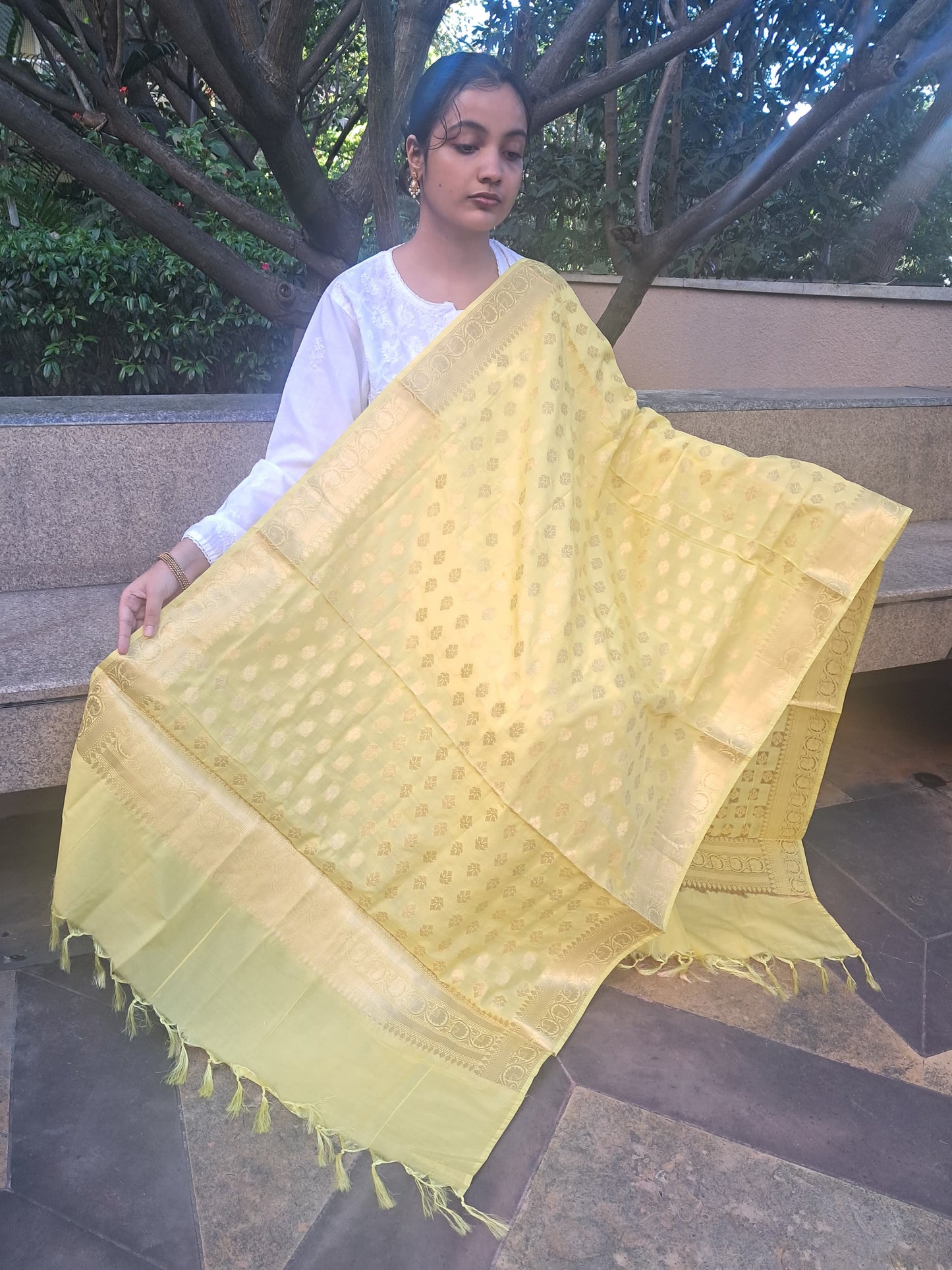 Yellow Mixed Katan Silk Banarasi Dupatta