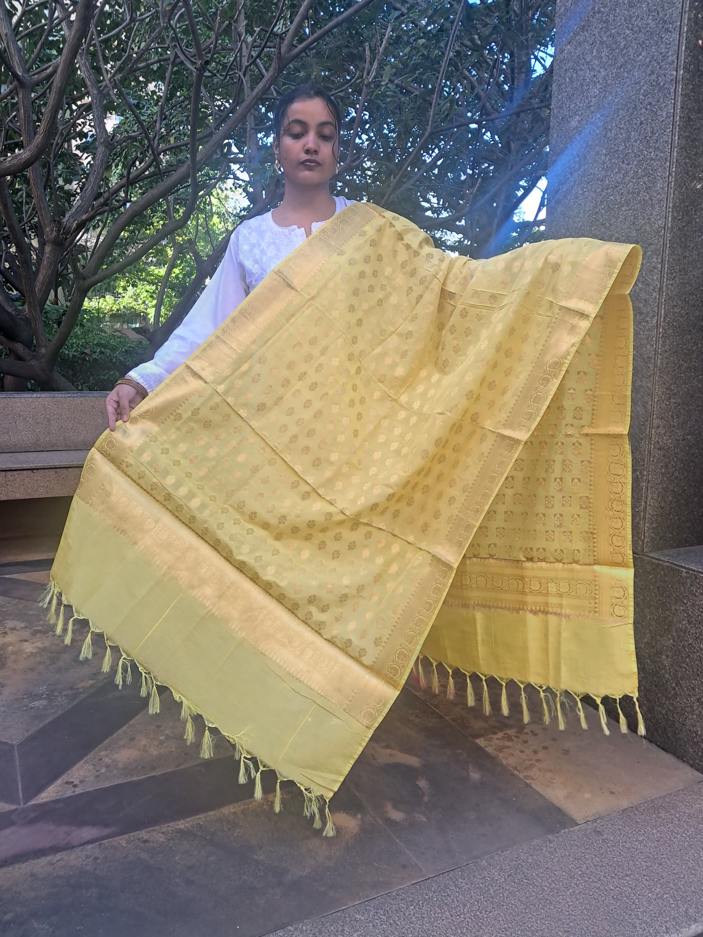 Yellow Mixed Katan Silk Banarasi Dupatta