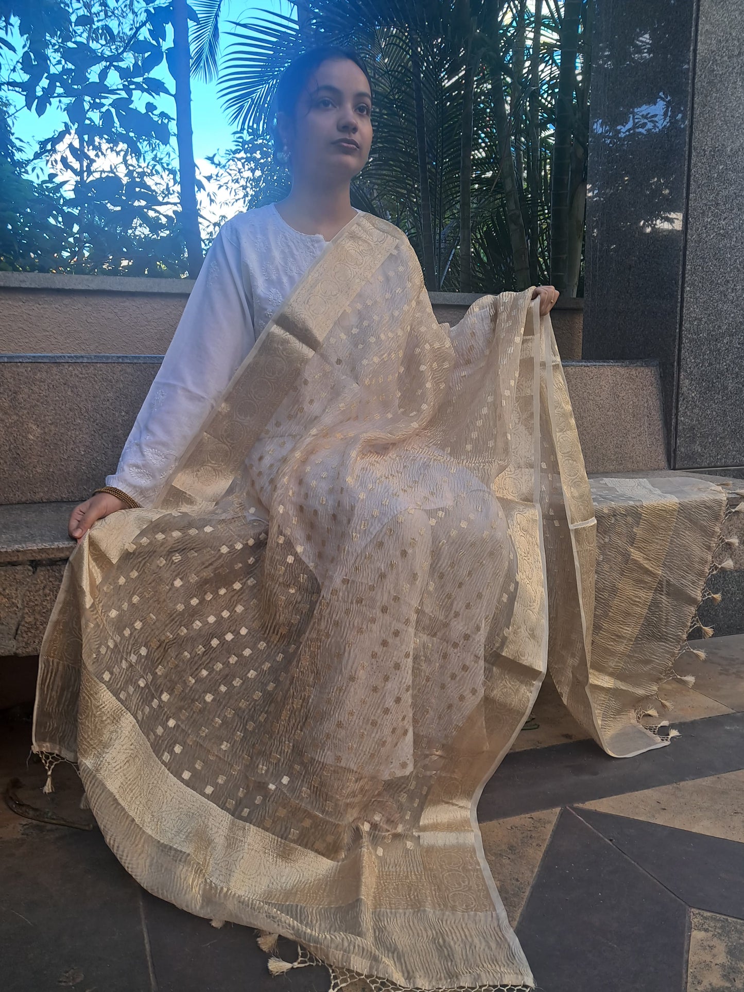 Golden Silk Tissue Crush Border Buti Banarasi Dupatta