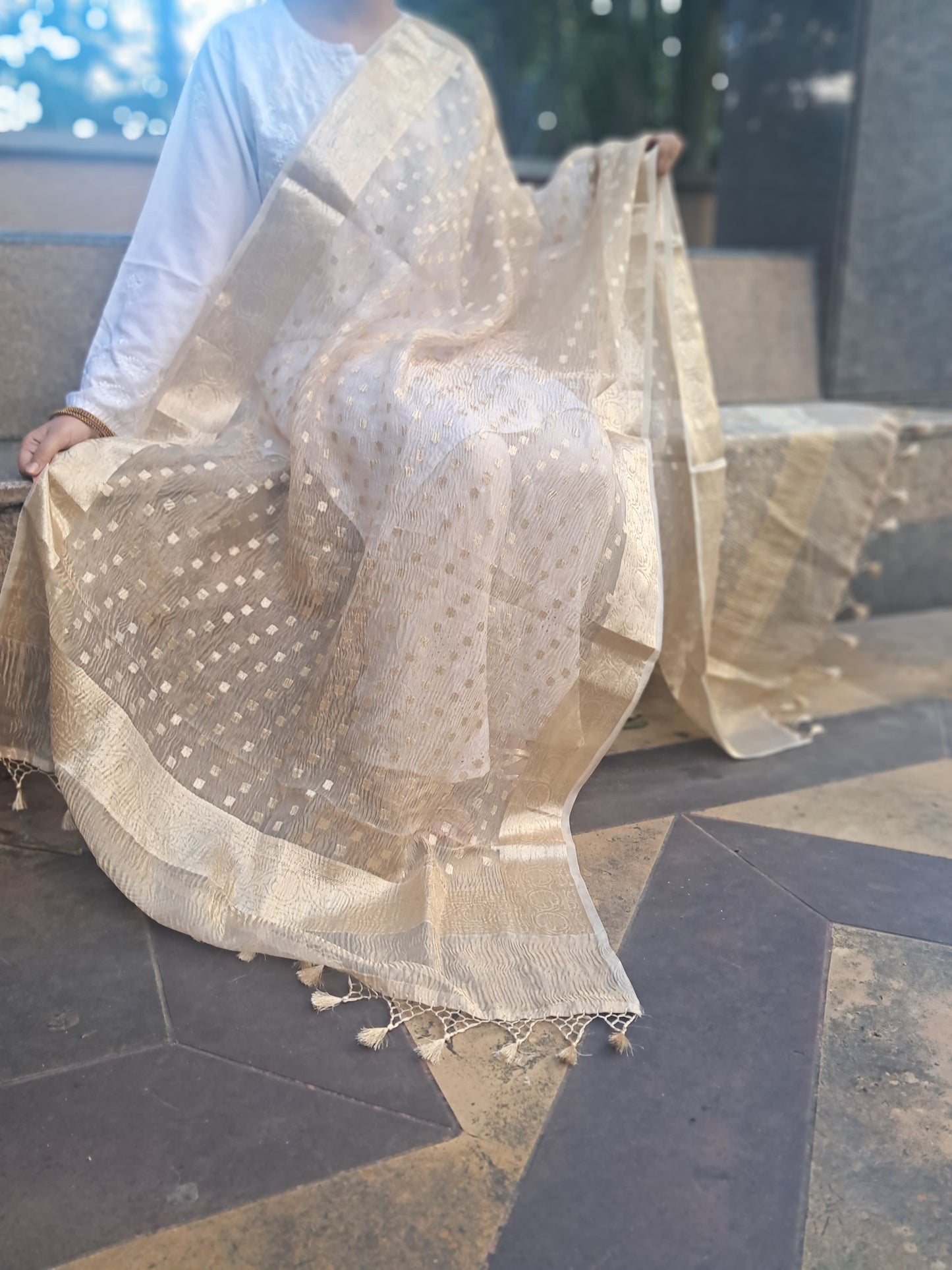 Golden Silk Tissue Crush Border Buti Banarasi Dupatta