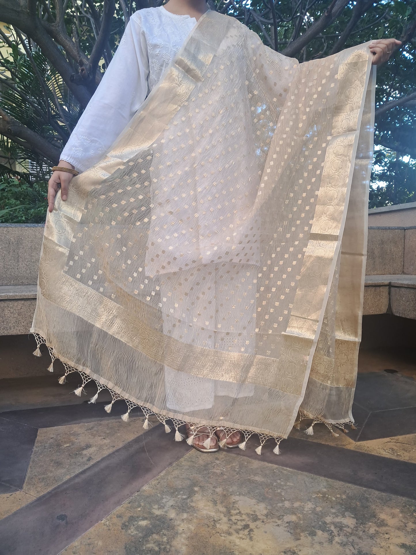 Golden Silk Tissue Crush Border Buti Banarasi Dupatta