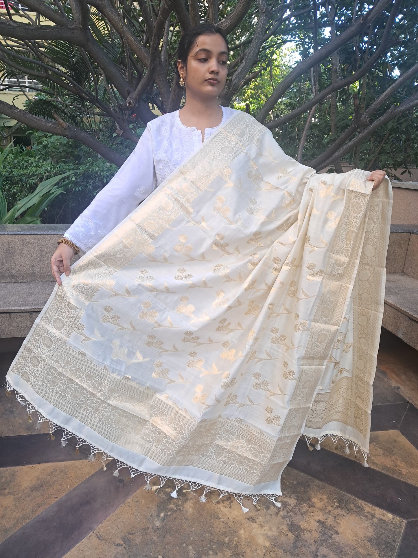 Cream Chiniya Silk Jakal Buti Banarasi Dupatta