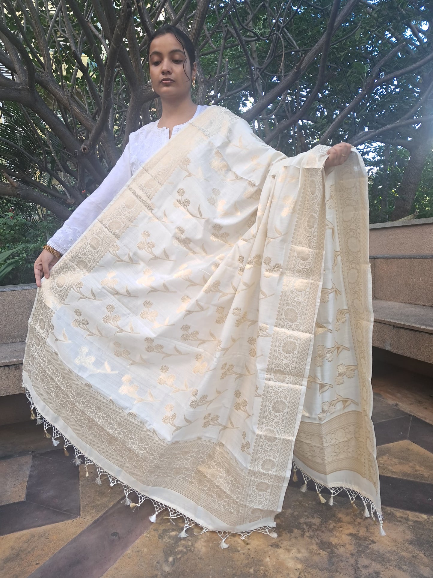 Cream Chiniya Silk Jakal Buti Banarasi Dupatta