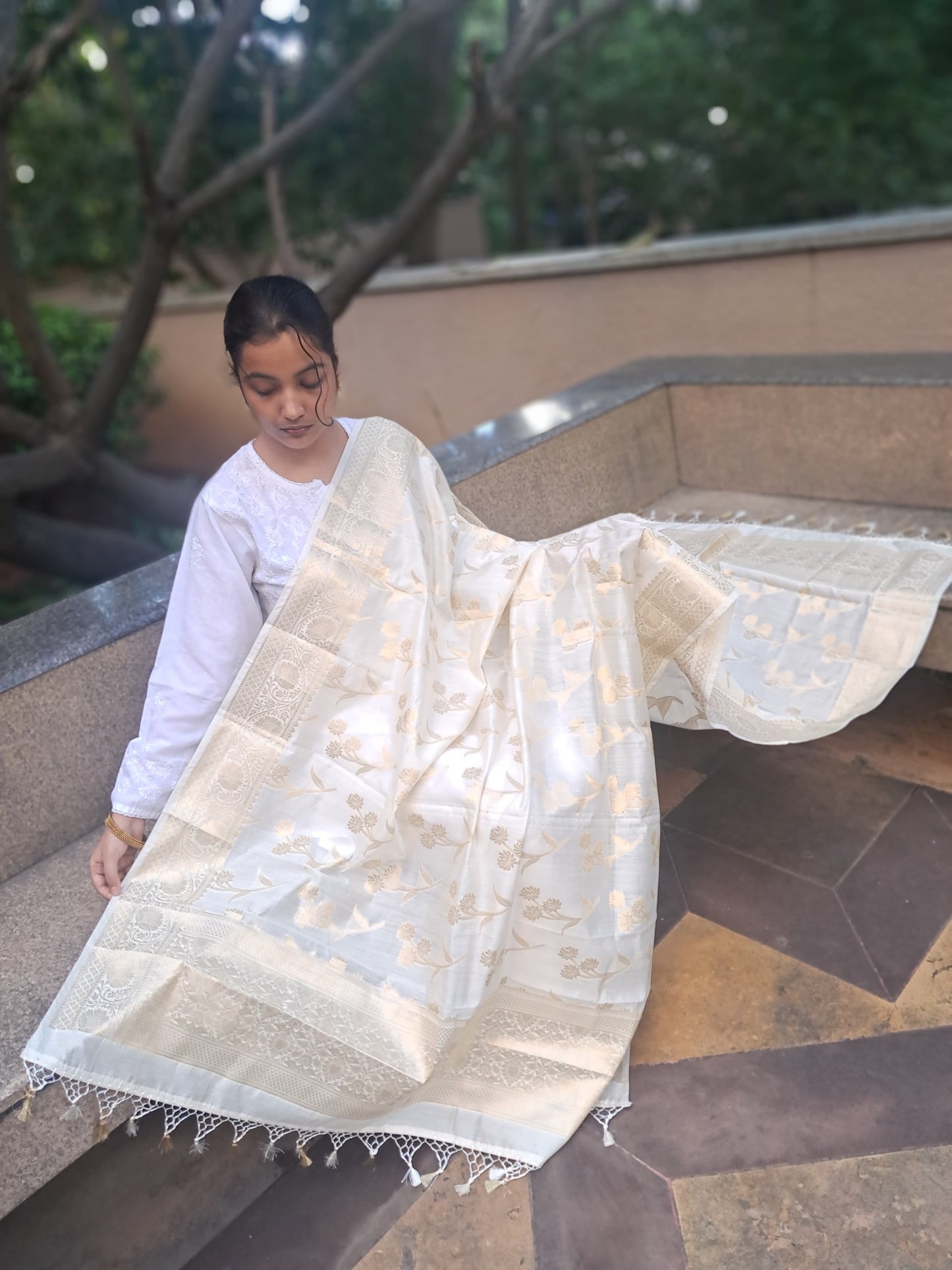 Cream Chiniya Silk Jakal Buti Banarasi Dupatta