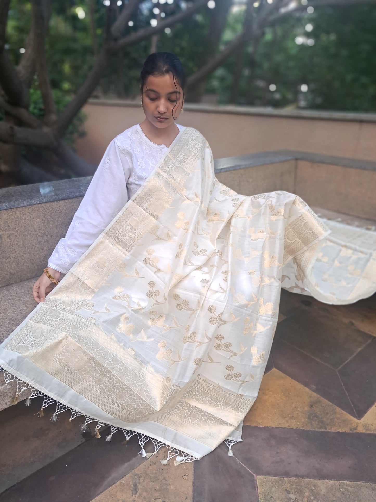 Cream Chiniya Silk Jakal Buti Banarasi Dupatta