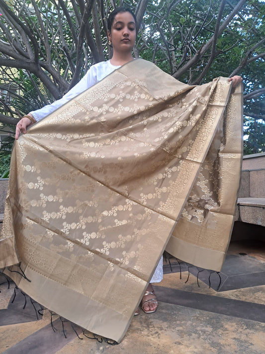 Golden Mixed Katan Silk Banarasi Dupatta