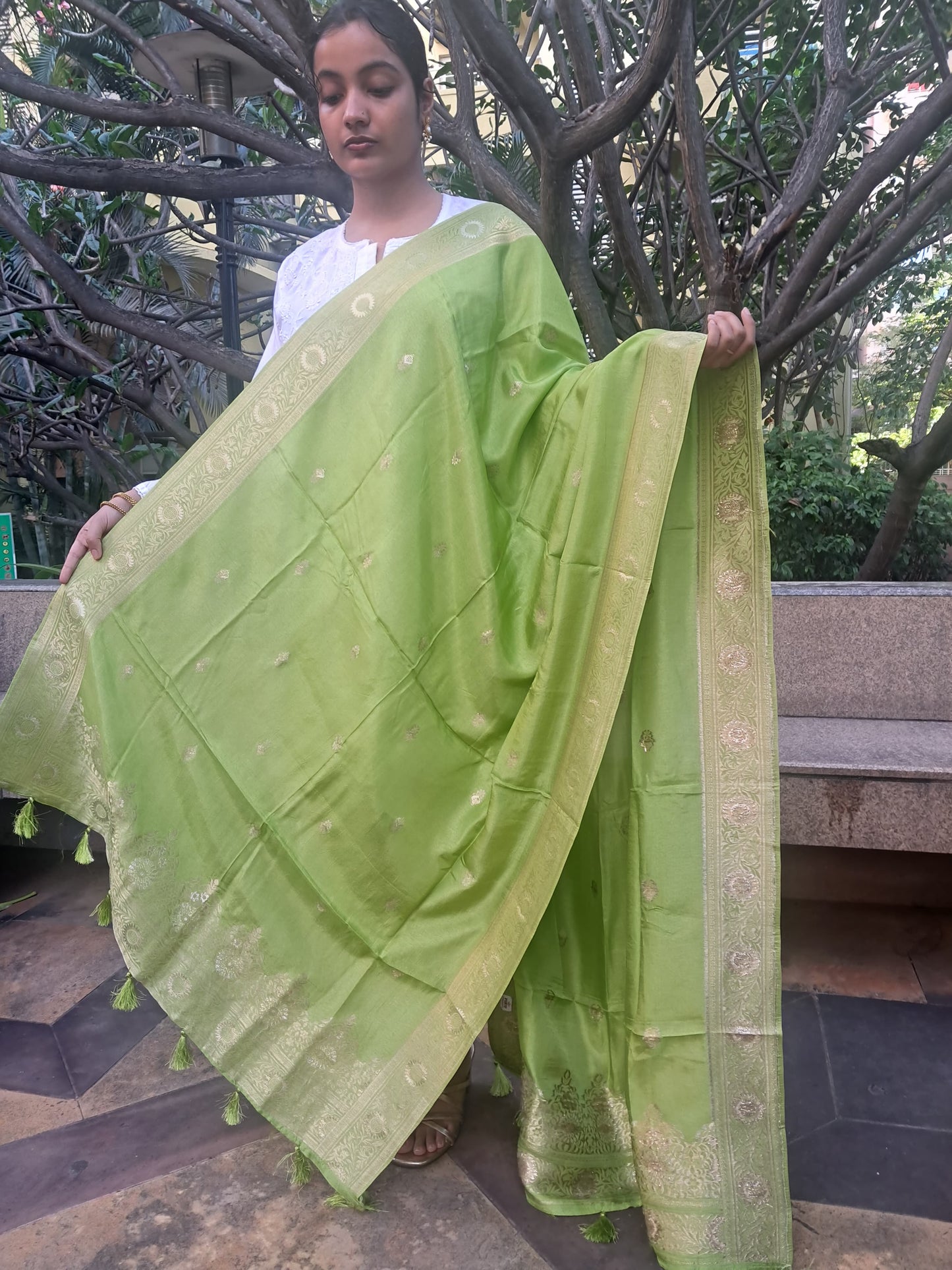 Green Mixed Silk Banarasi Dupatta