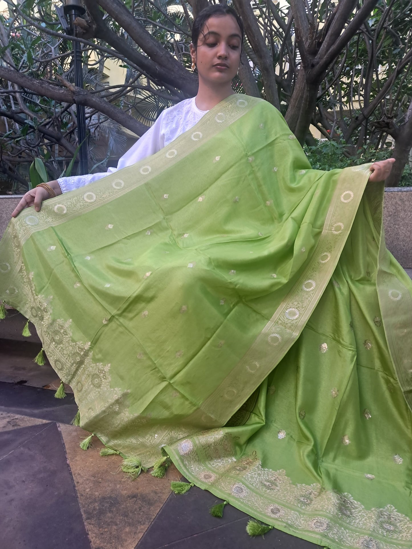 Green Mixed Silk Banarasi Dupatta